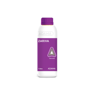 Zariva